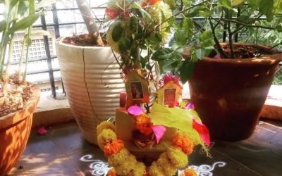 tulsivivah1-314